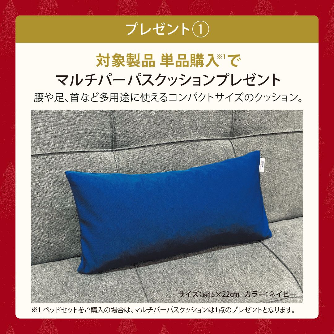対象製品 単品購入でマルチパーパスクッションプレゼント。