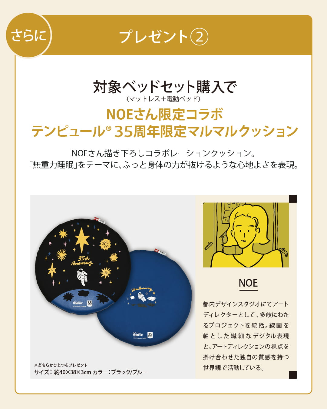 対象ベッドセット購入でNOEさん限定コラボテンピュール35周年限定マルマルクッションもプレゼント